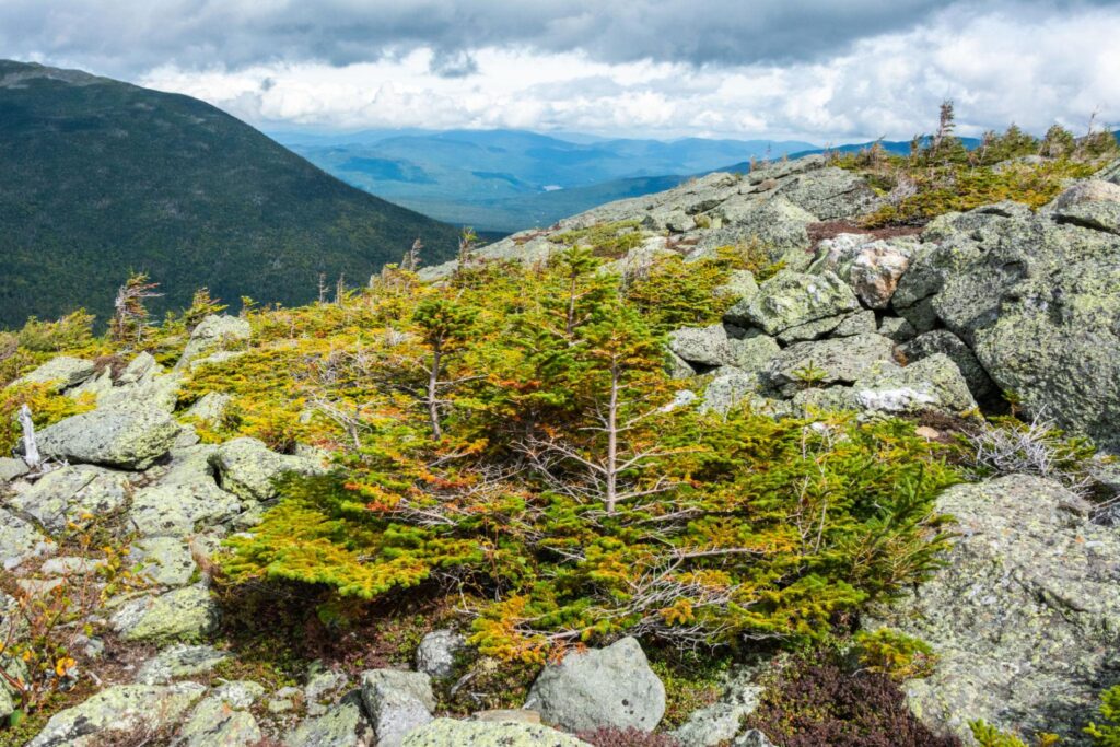 Mt. Washington State Park